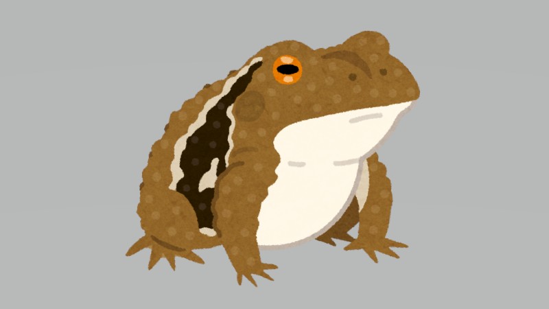 カエルが近づいてきて……