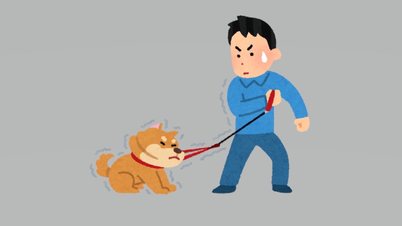 全力で拒否します…