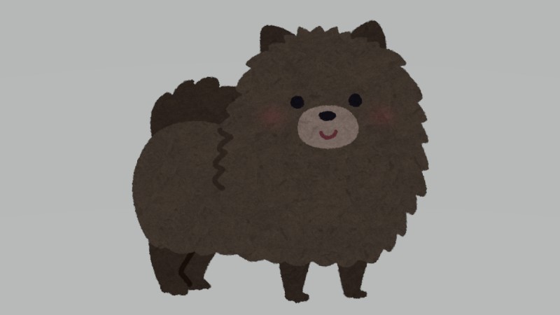 うるま市｜黒い大型犬の目撃情報…