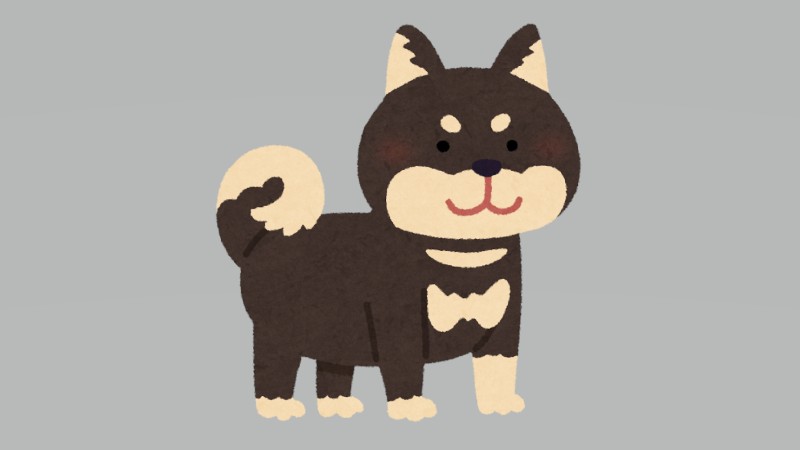 "幻の柴犬"…美濃柴犬への想い…